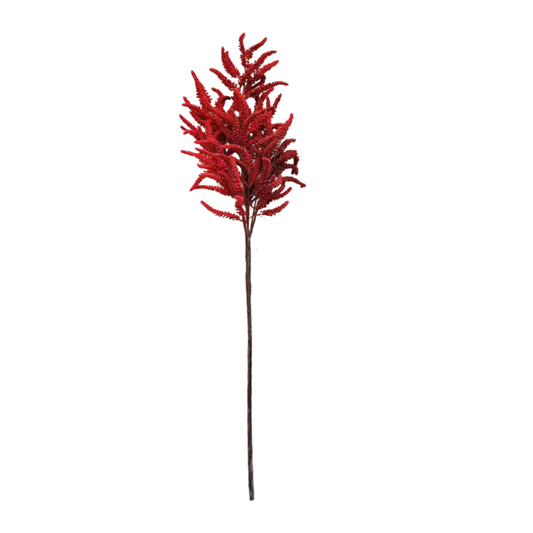 Red Wheat Steam 55 inch Party Perfetto