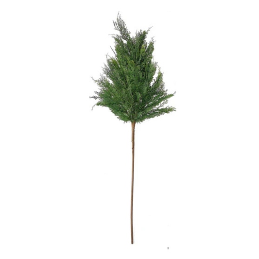 Cypress Leaf Steam 40 inch Party Perfetto