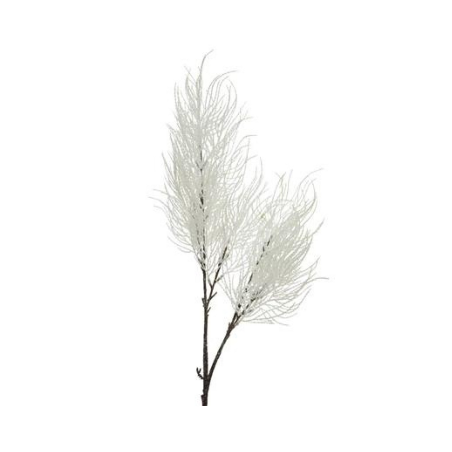 White Furry Stem PartyPerfetto