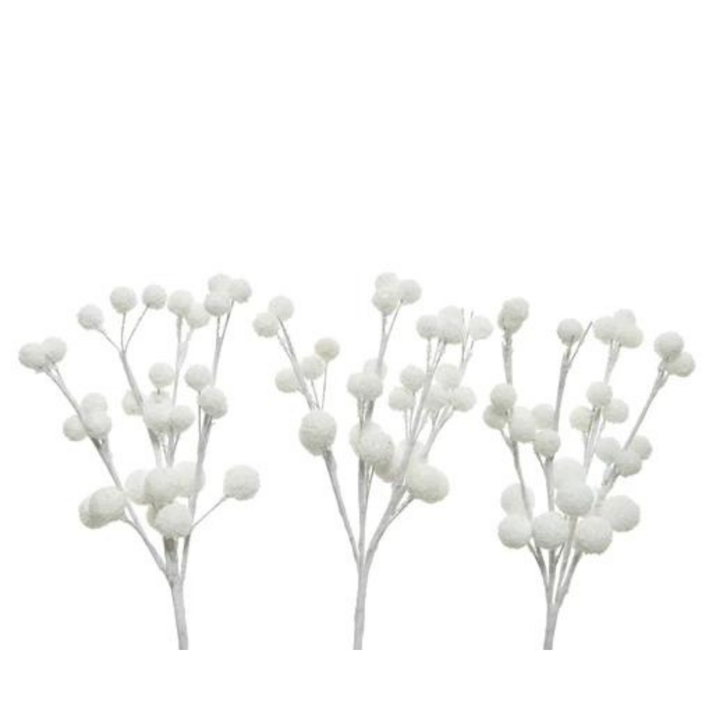 Snow Berries PartyPerfetto