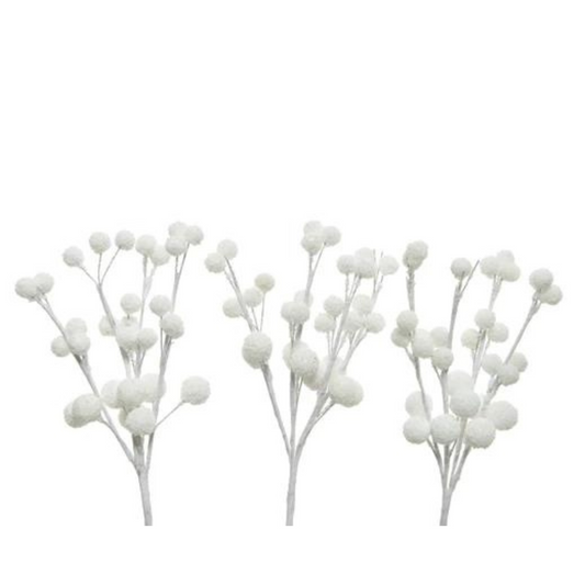 Snow Berries PartyPerfetto
