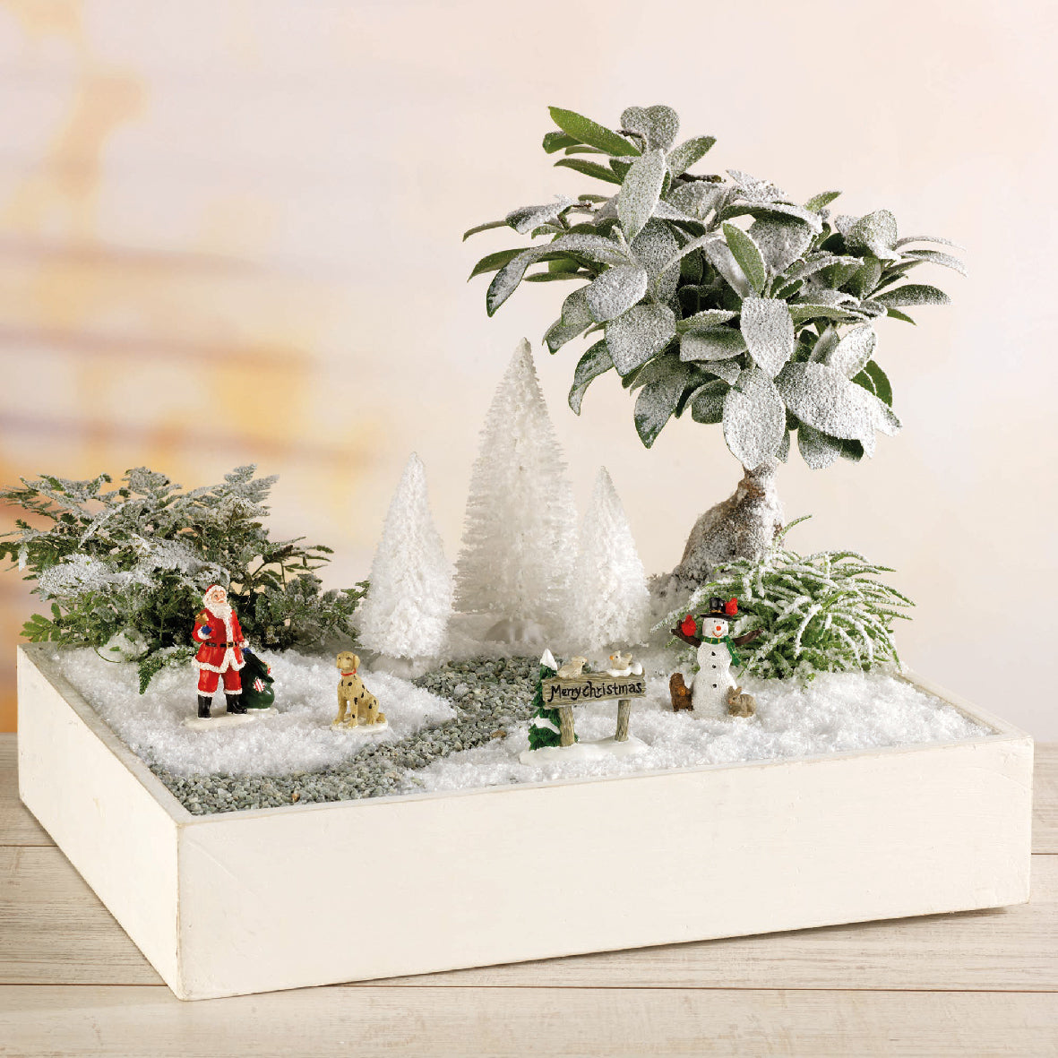Pine Tree ( Set of 9)