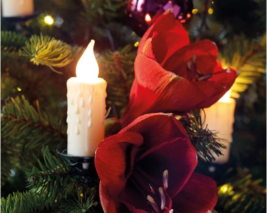 LED Candle String light 11.6 mtr