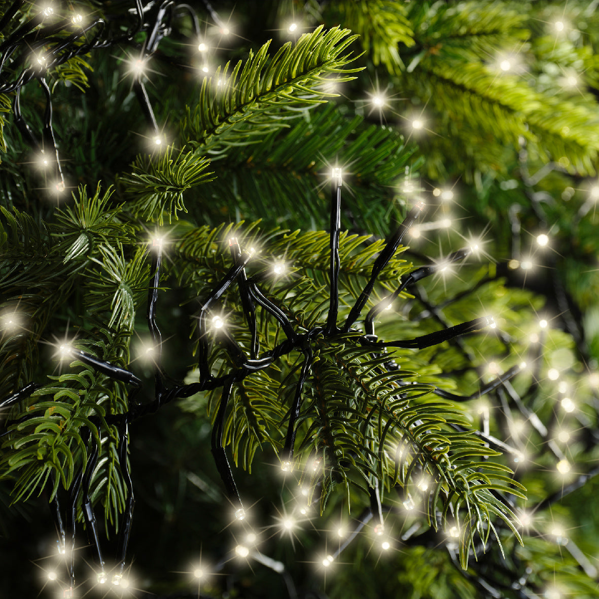 LED Twinkle Effect Cluster Light