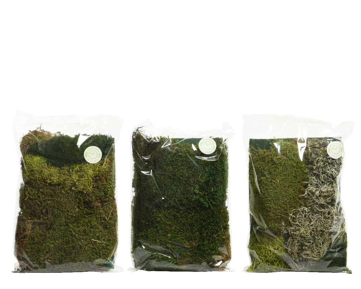 Natural Moss