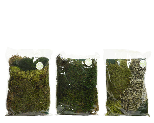 Natural Moss Pack of 1