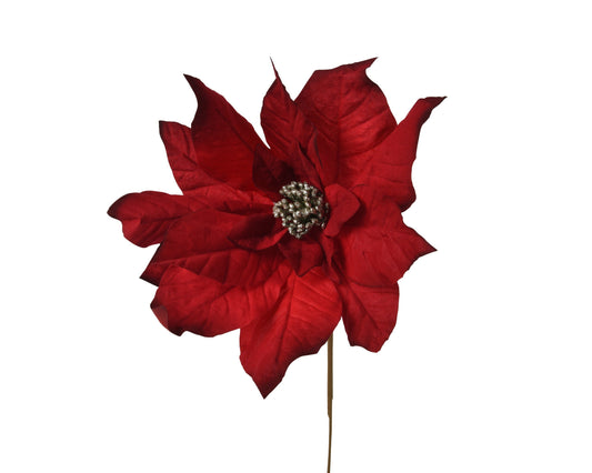 Red Velvet Poinsettia (H.63cm) Party Perfetto