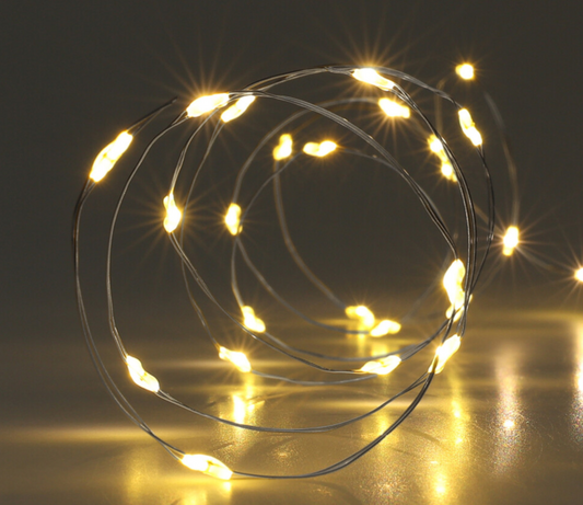 Silver Wire Warm LED Light PartyPerfetto