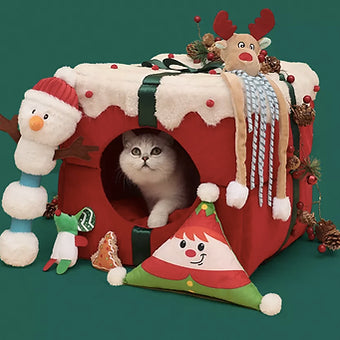 Gift Box Pet Bed Party Perfetto