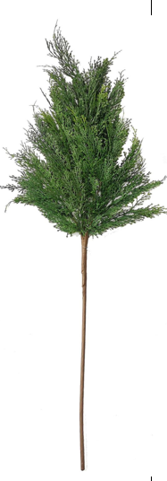 Cypress Leaf Steam 40 inch Party Perfetto