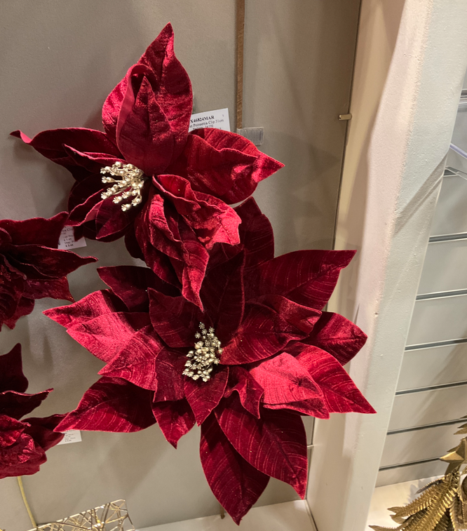 Velvet Poinsettia Stem 45Cm