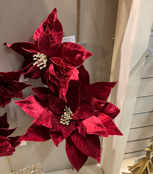 Velvet Poinsettia Stem 45Cm