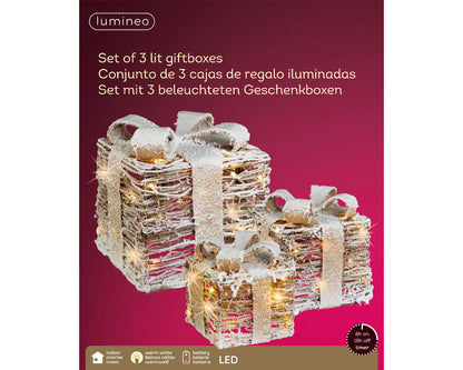 LED Rattan Giftbox (Set of 3) Party Perfetto