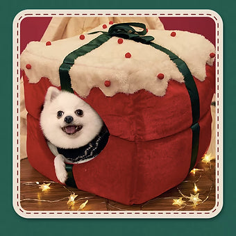 Gift Box Pet Bed