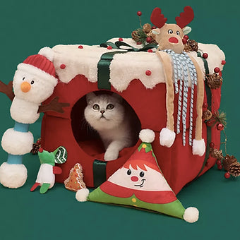 Gift Box Pet Bed