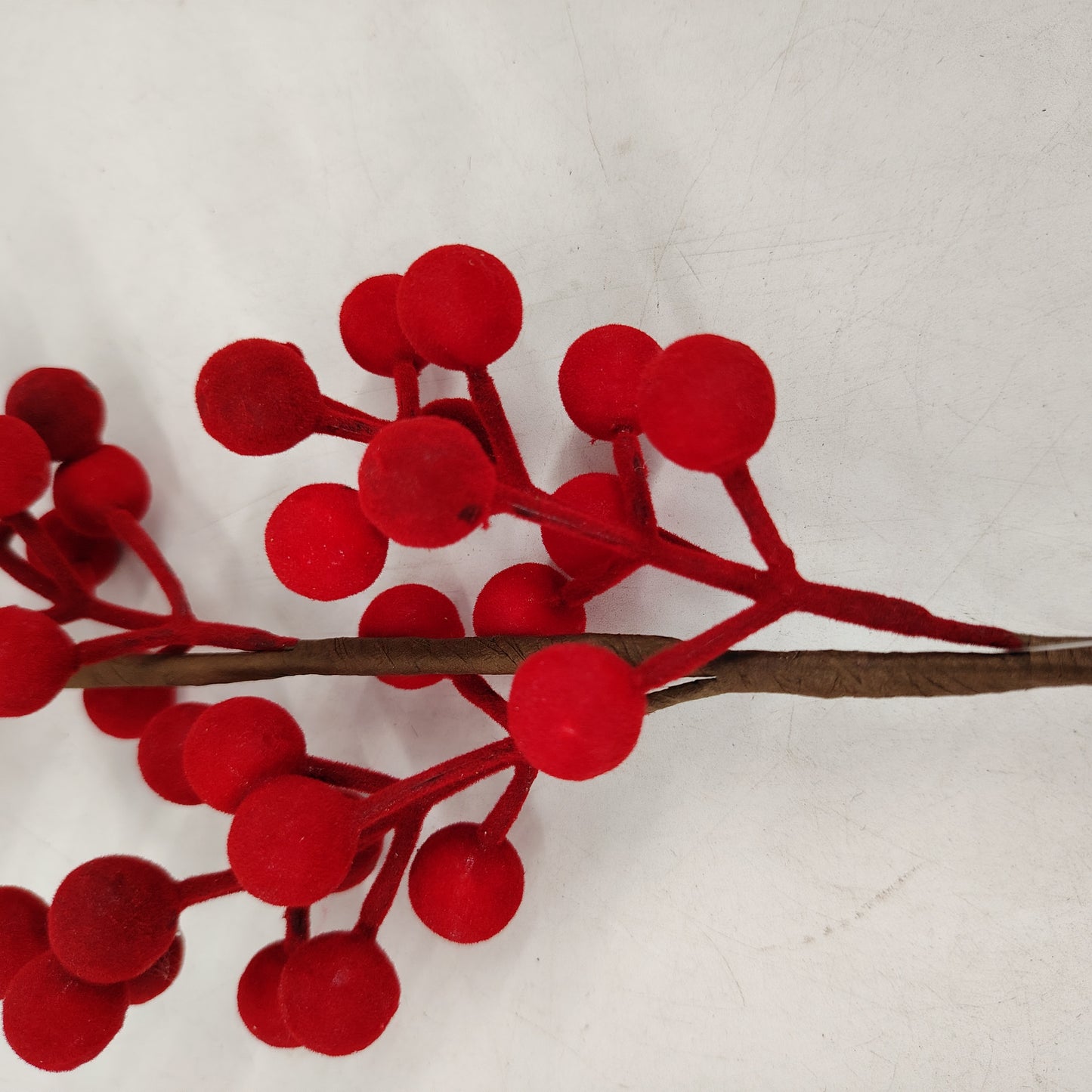 Red Berries With Stem