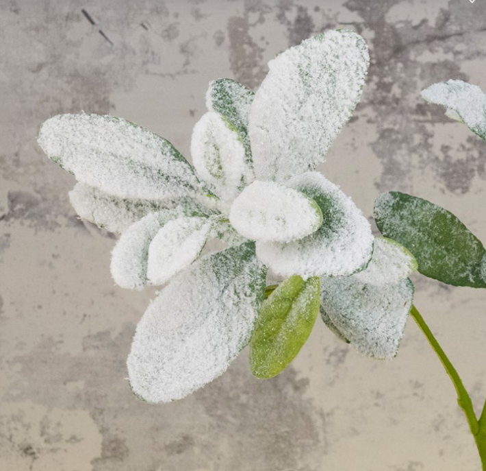 Snowstorm Lambs Ear Spray 71cm Party Perfetto