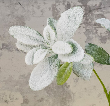 Snowstorm Lambs Ear Spray 71cm Party Perfetto
