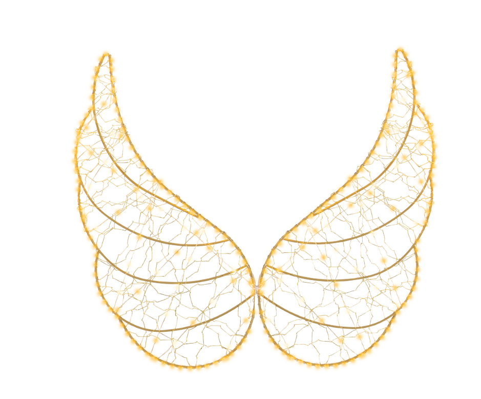 Micro LED Angel Wings Party Perfetto