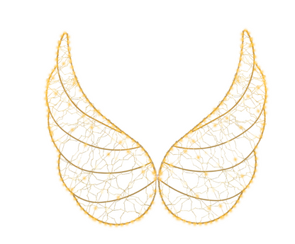 Micro LED Angel Wings Party Perfetto